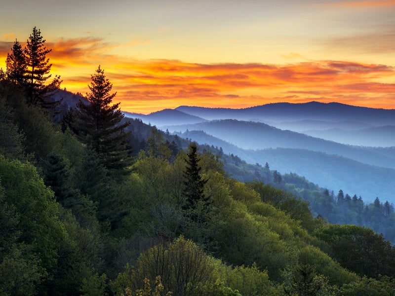 Sunrise in the Great Smokey Mountains, Tennessee.