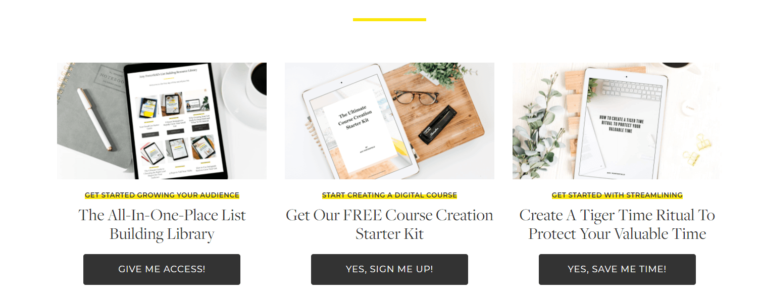 A screenshot showing Amy Porterfield's online resources.