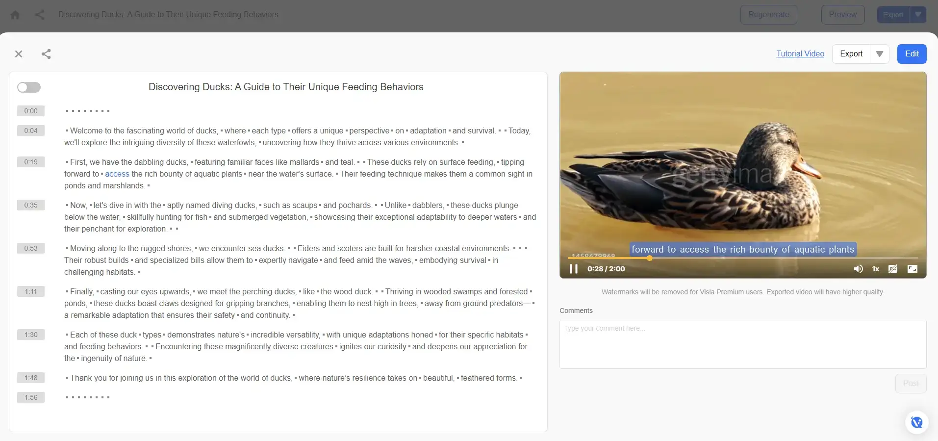 A screenshot of Visla's dashboard showing a video example that features a swimming duck.